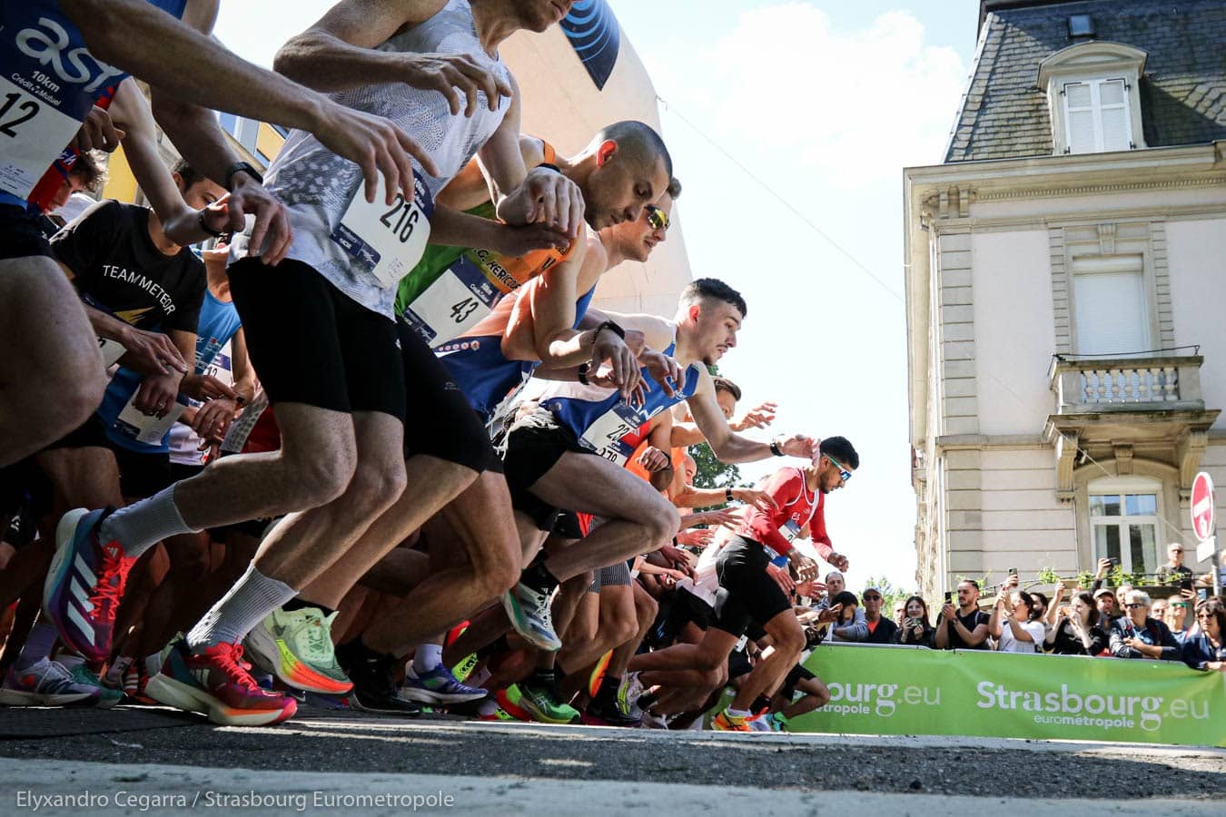 Les Courses de Strasbourg Eurométropole 2024 Courses de Strasbourg